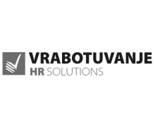 HR_solutions_light NO BACKGROUND Gray